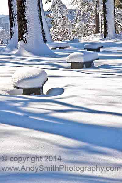 Benches in the Snow at Valley Forge